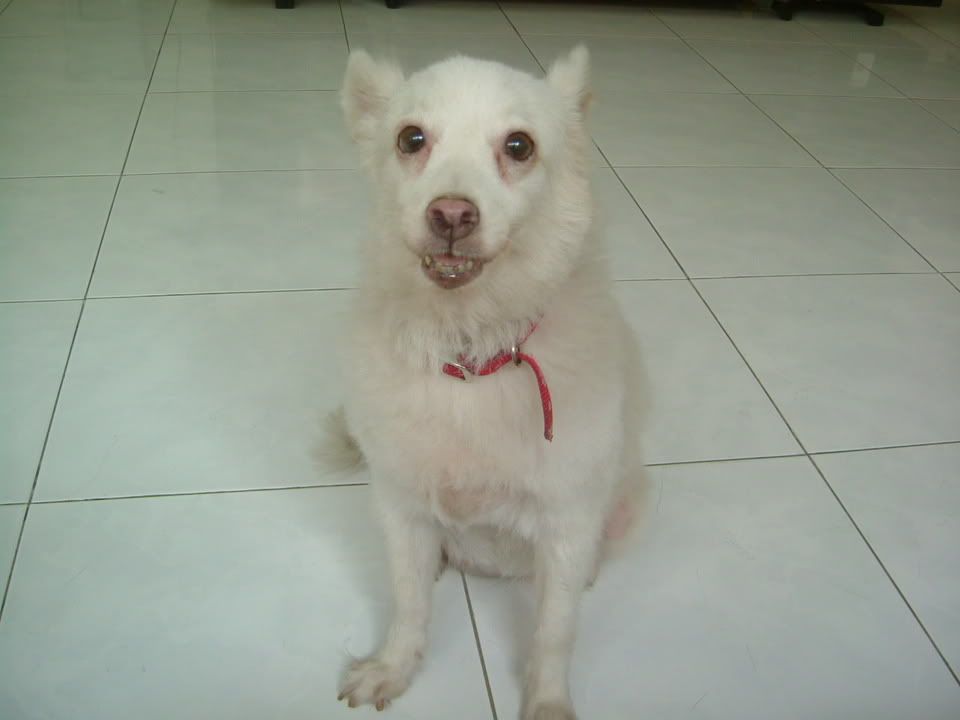 Image hosted by Photobucket.com