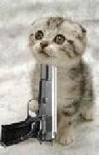 http://img.photobucket.com/albums/v220/kijuki/CATGUN.jpg