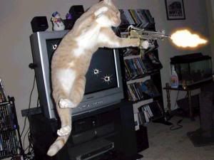 http://img.photobucket.com/albums/v220/kijuki/cat_gun-708917.jpg