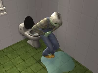 130_Imzadi_misses_the_toilet.jpg