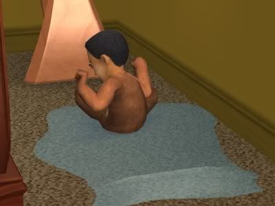 156_Rico_plays_in_a_patch.jpg