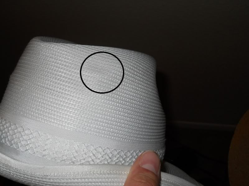 DSCN1178.jpg