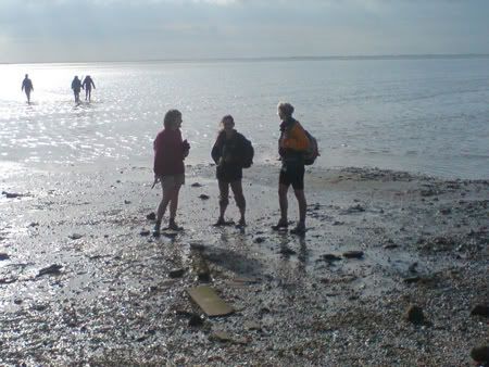 ameland17.jpg picture by Rebeccaspeyer