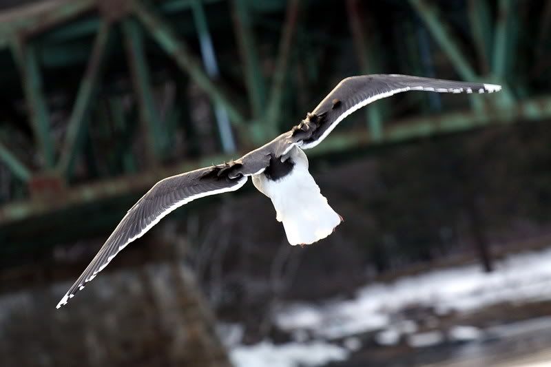 IMAGE: http://img.photobucket.com/albums/v221/SolraC13/IMG_0190.jpg