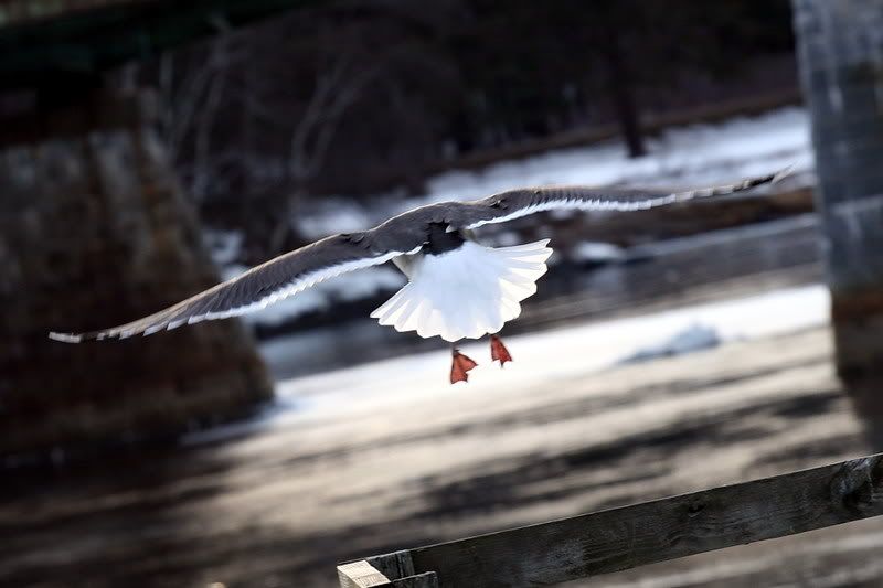 IMAGE: http://img.photobucket.com/albums/v221/SolraC13/IMG_0191.jpg