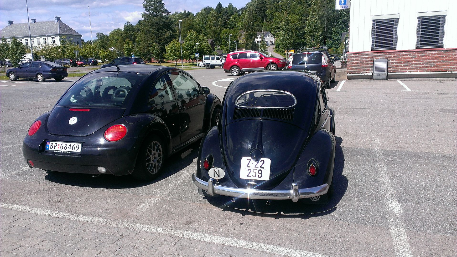 Image may have been reduced in size. Click image to view fullscreen.