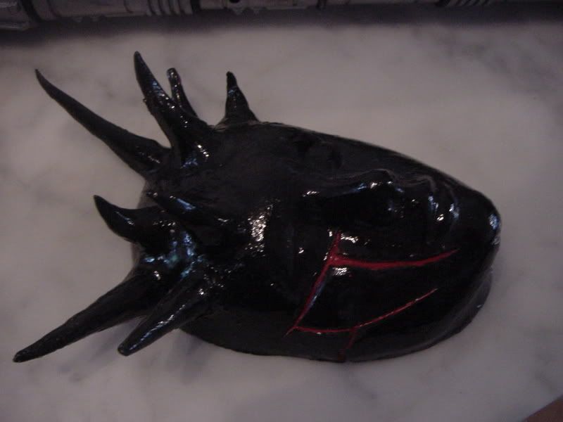 DSC02337.jpg