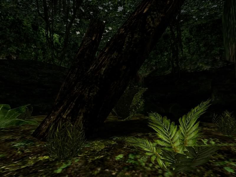 jungle_test2.jpg