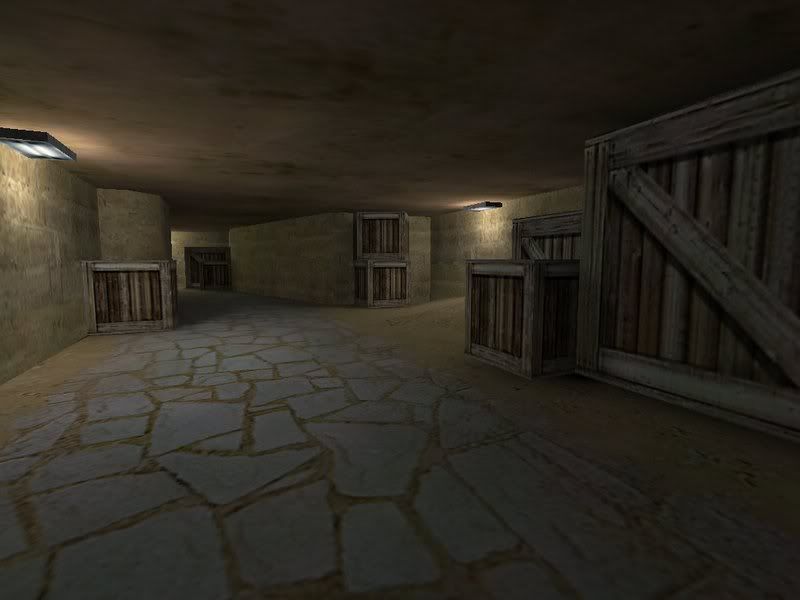 de_savage05.jpg