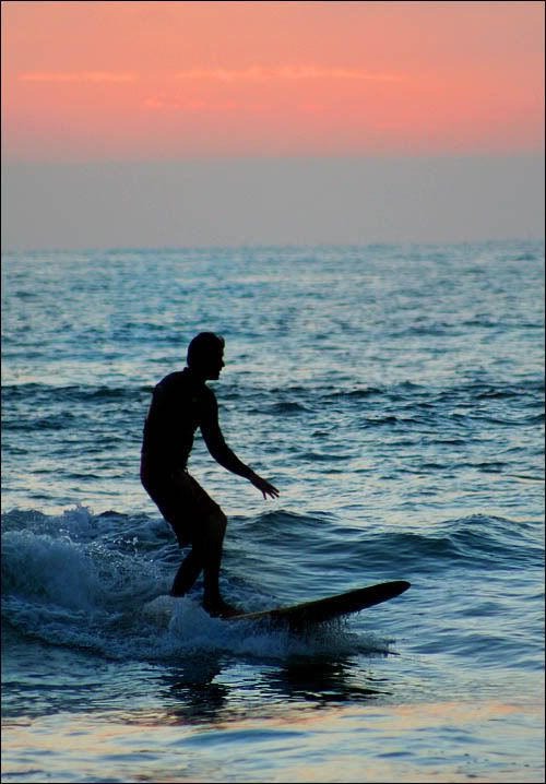 IMAGE: http://img.photobucket.com/albums/v222/AmyLizz/Valentines%20Roses/July28076-2.jpg