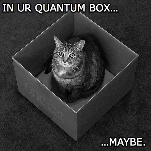 CatBox.jpg