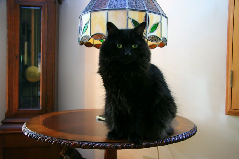 IMAGE: http://img.photobucket.com/albums/v222/gheb88/IMG_4587.jpg