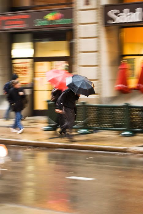 IMAGE: http://img.photobucket.com/albums/v222/gheb88/IMG_4850w.jpg