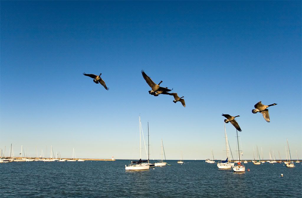 IMAGE: http://img.photobucket.com/albums/v222/gheb88/IMG_4946w.jpg