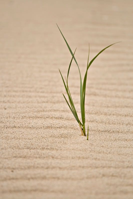 IMAGE: http://img.photobucket.com/albums/v222/gheb88/IMG_5743.jpg