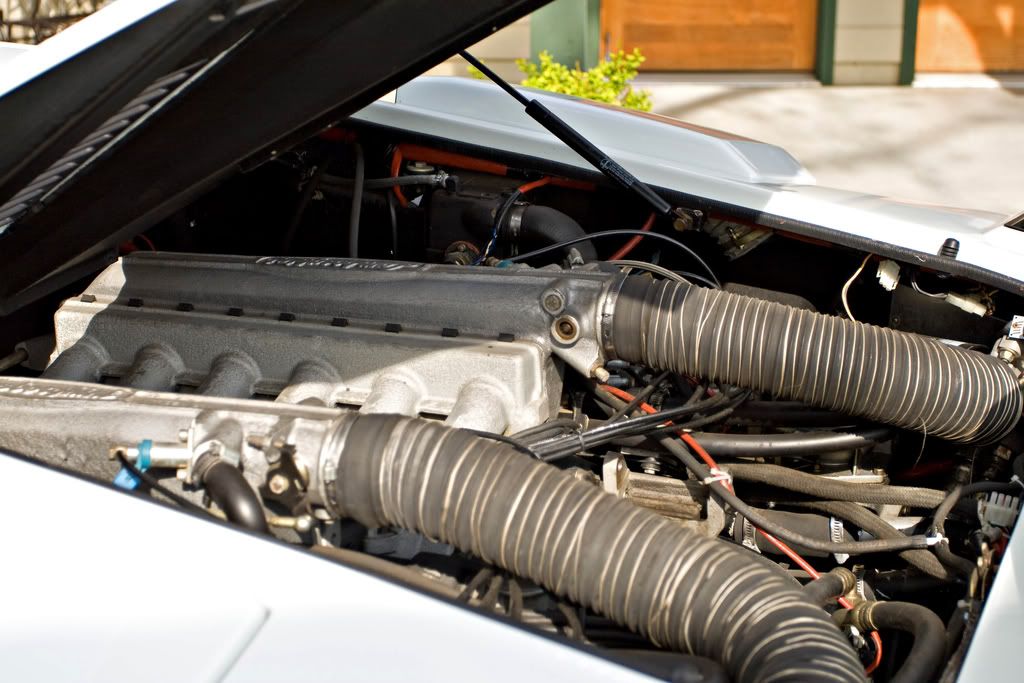 IMAGE: http://img.photobucket.com/albums/v222/gheb88/IMG_57652.jpg