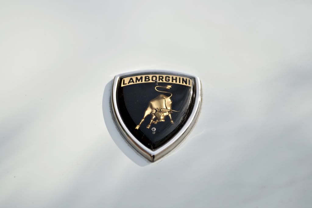 IMAGE: http://img.photobucket.com/albums/v222/gheb88/IMG_5772.jpg