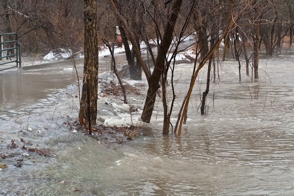 IMAGE: http://img.photobucket.com/albums/v222/gheb88/IMG_6762.jpg