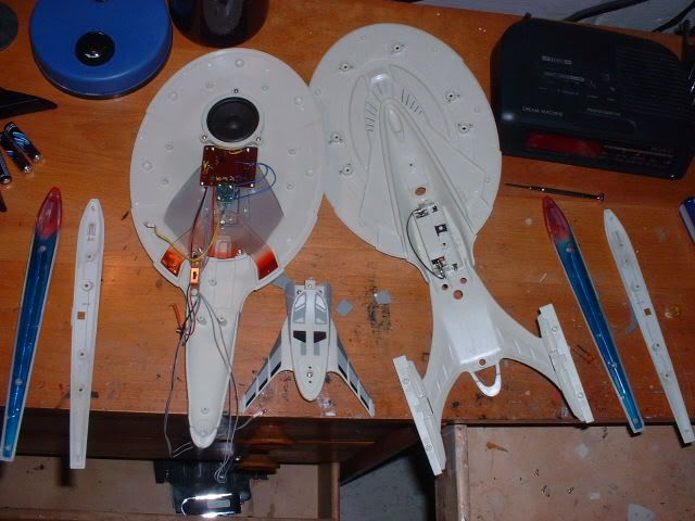 Ent19