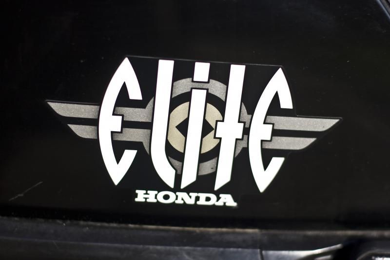  photo elite6_zps5bae0423.jpg