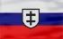 Slovakianflag.jpg