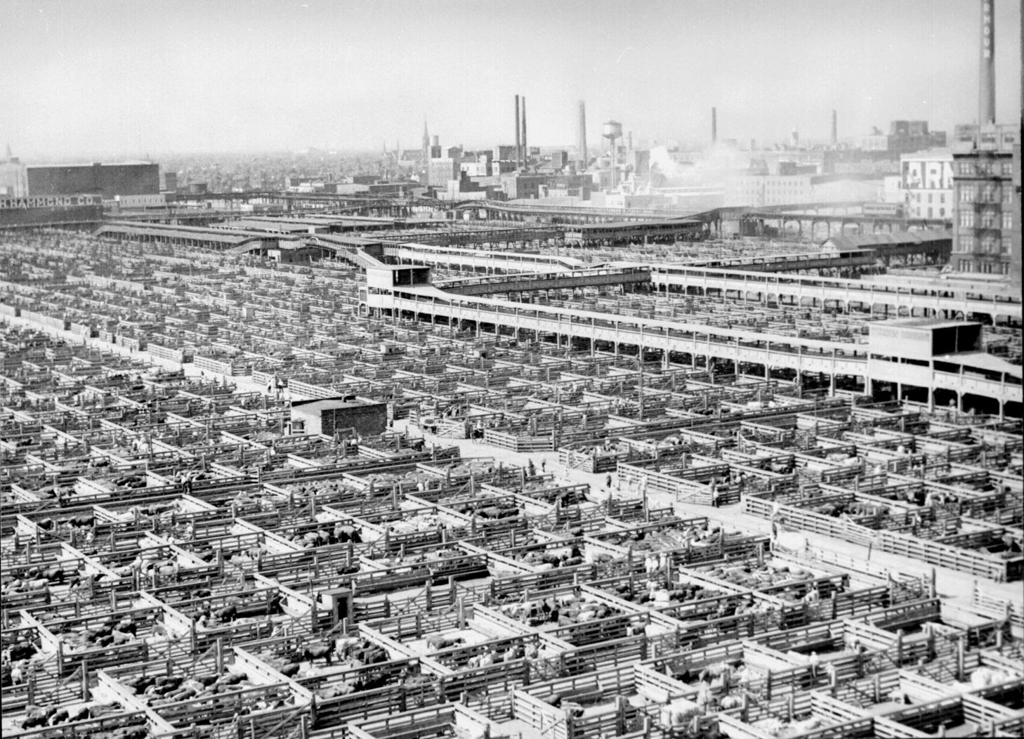 Chicago Industrialization