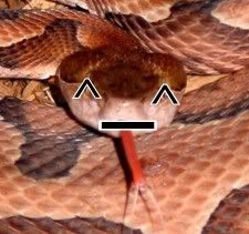 copperheadsmiley.jpg