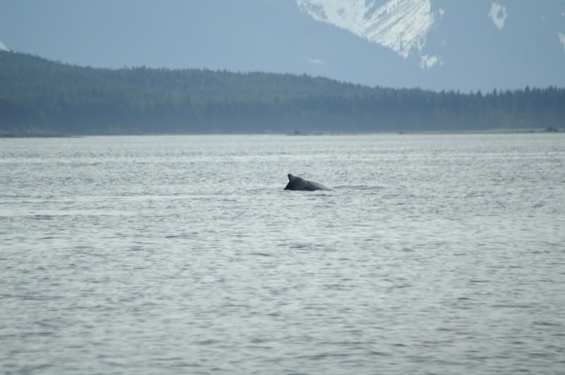 Alaska5409.jpg