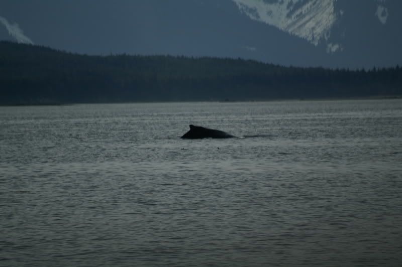 Alaska5411.jpg