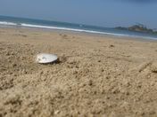 Patnem Beach