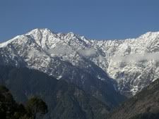  Himalayas as seen from Naddi, near Mcleod Ganj, upper Dharamsala