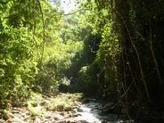  Nature Trail next to Pai 