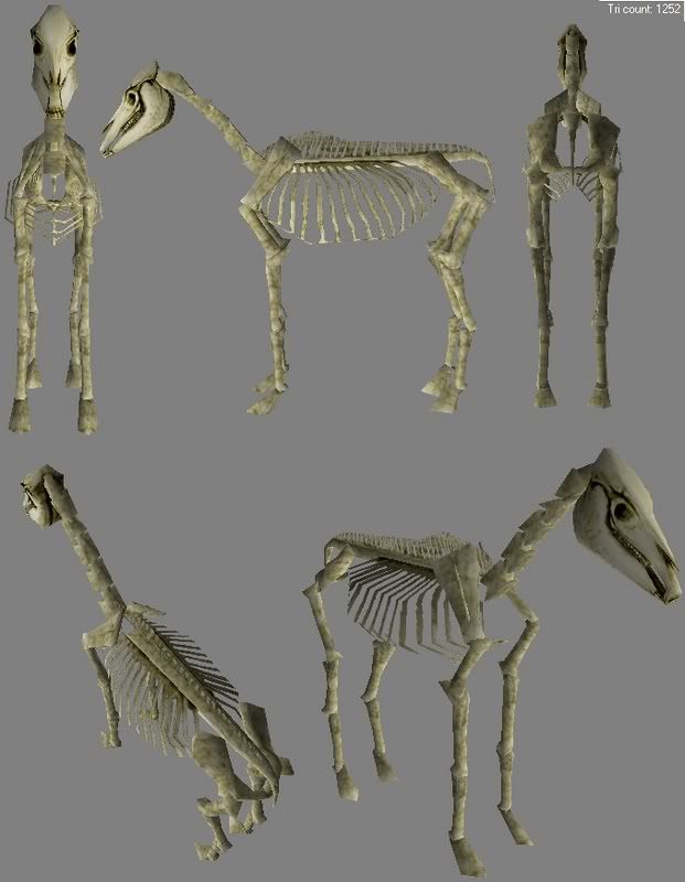 skeletal_horse-00.jpg