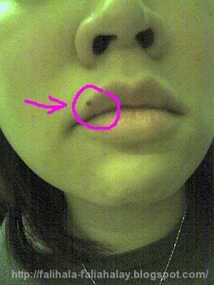 The image “http://img.photobucket.com/albums/v223/mahimahi/0005-4.jpg?t=1168772164” cannot be displayed, because it contains errors.