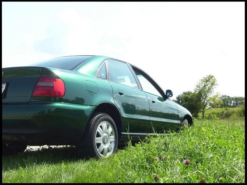 Past VWs MK4 Platinum Gray GLI T3 T4 57trim B5 Cactus Green A4 
