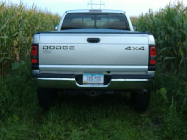 Picture010.jpg