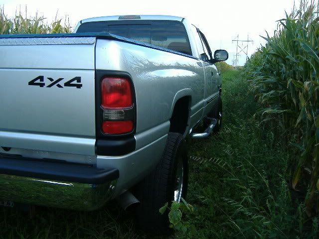 Picture011.jpg