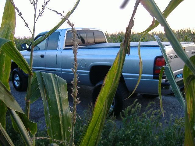 Picture033.jpg