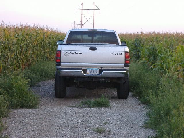 Picture034.jpg