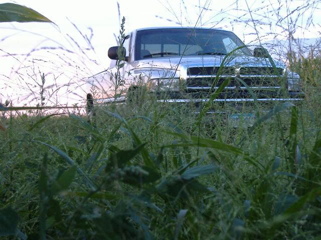 Picture036.jpg