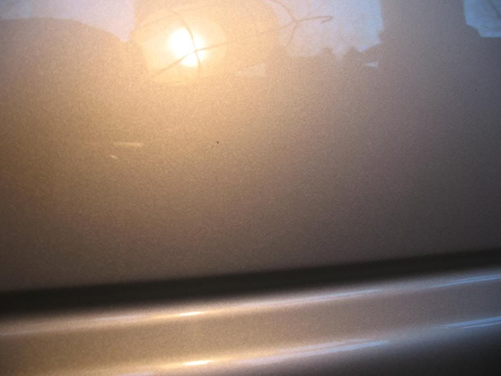IMG_0471.jpg