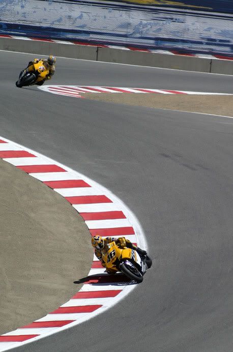 IMAGE: http://img.photobucket.com/albums/v224/ImperialRed/Laguna%20Seca/MotoGP1322re.jpg