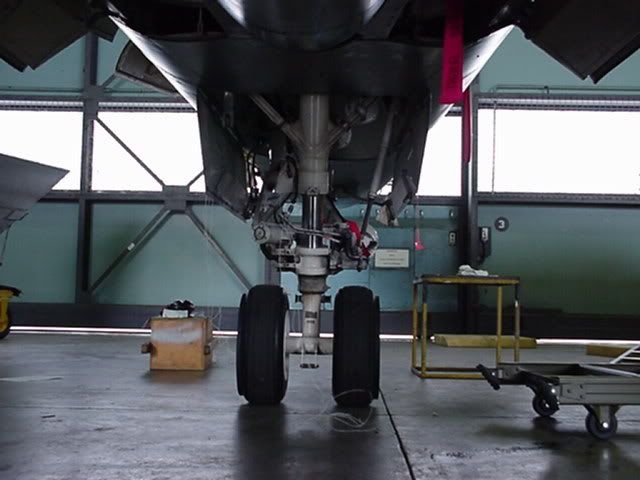 F-111CnosegearRear.jpg