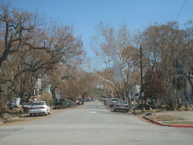 Brown Foliage