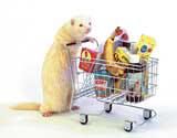 So many shops, so little time!