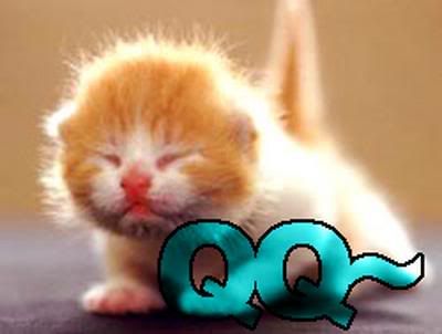 qq_kitty.jpg