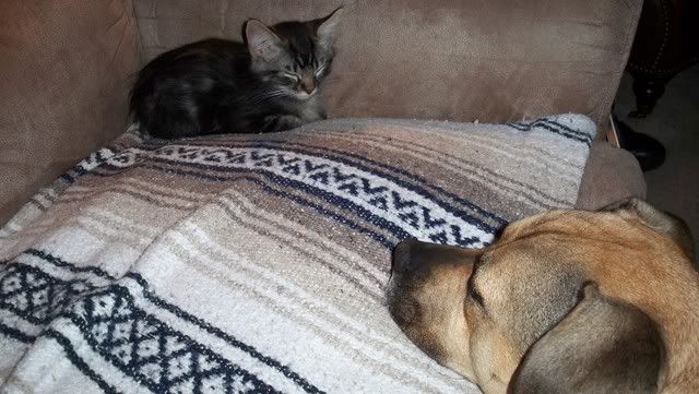 100_0413.jpg