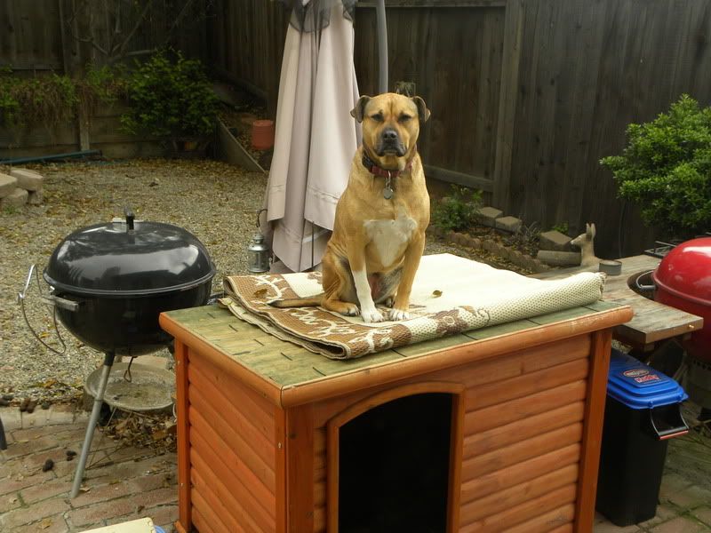DSCN2812.jpg
