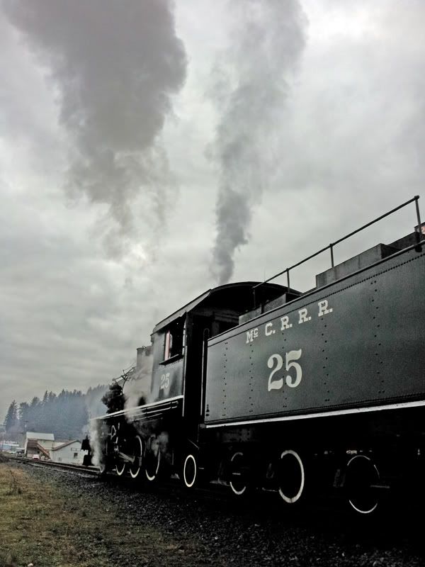 steamtrain1.jpg