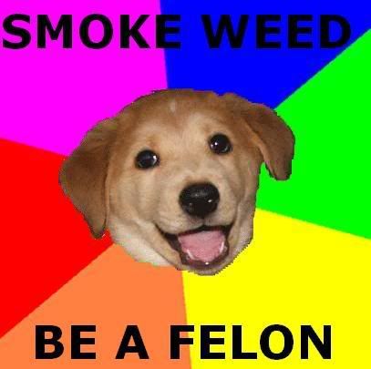 http://img.photobucket.com/albums/v225/bennyfizzle/Funny%20Shit/weeddog.jpg